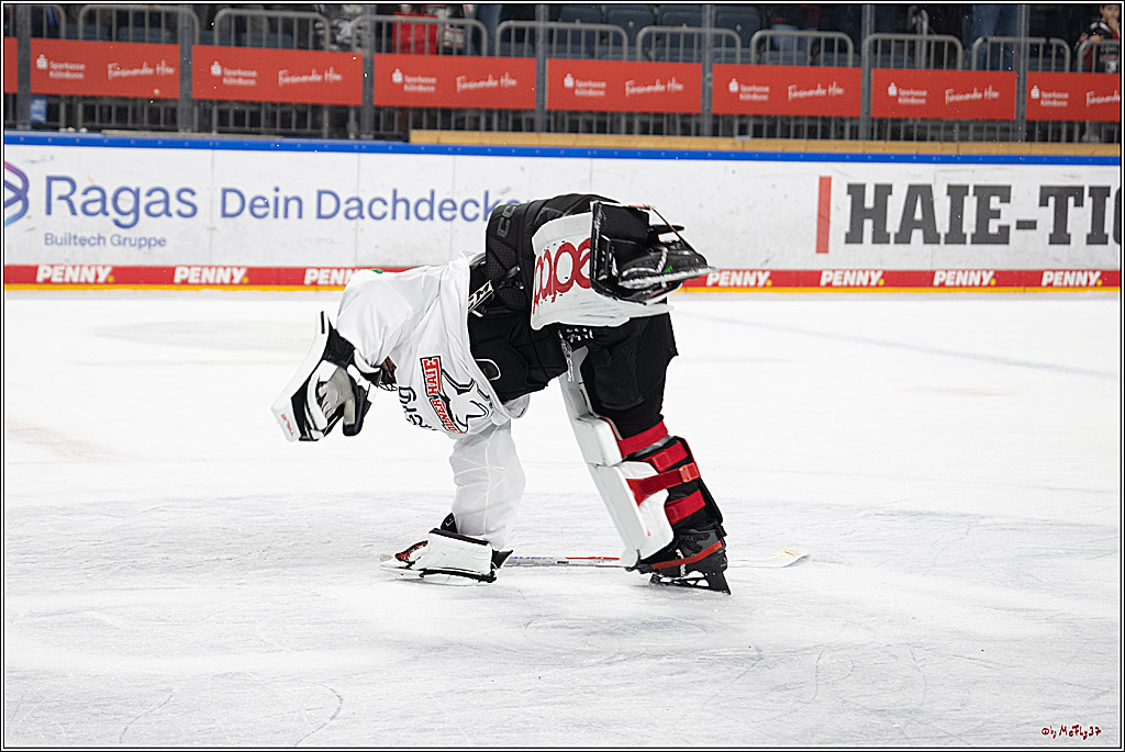 PENNY DEL 1; Kölner Haie - Grizzlys Wolfsburg; Köln, 10.01.2025
