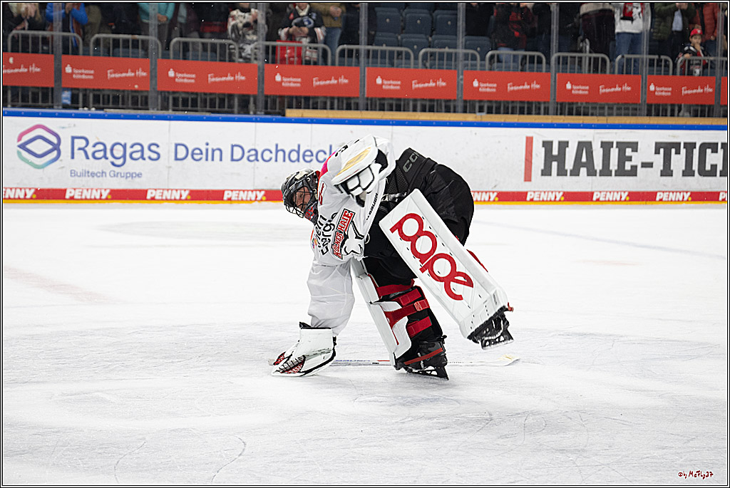 PENNY DEL 1; Kölner Haie - Grizzlys Wolfsburg; Köln, 10.01.2025