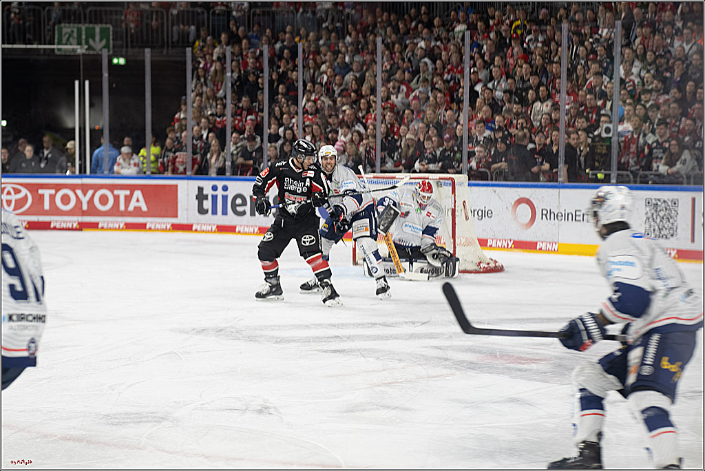 PENNY DEL 1; Kölner Haie - Iserlohn Roosters; Köln, 19.01.2025