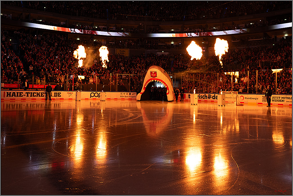 PENNY DEL 1; Kölner Haie - Iserlohn Roosters; Köln, 19.01.2025