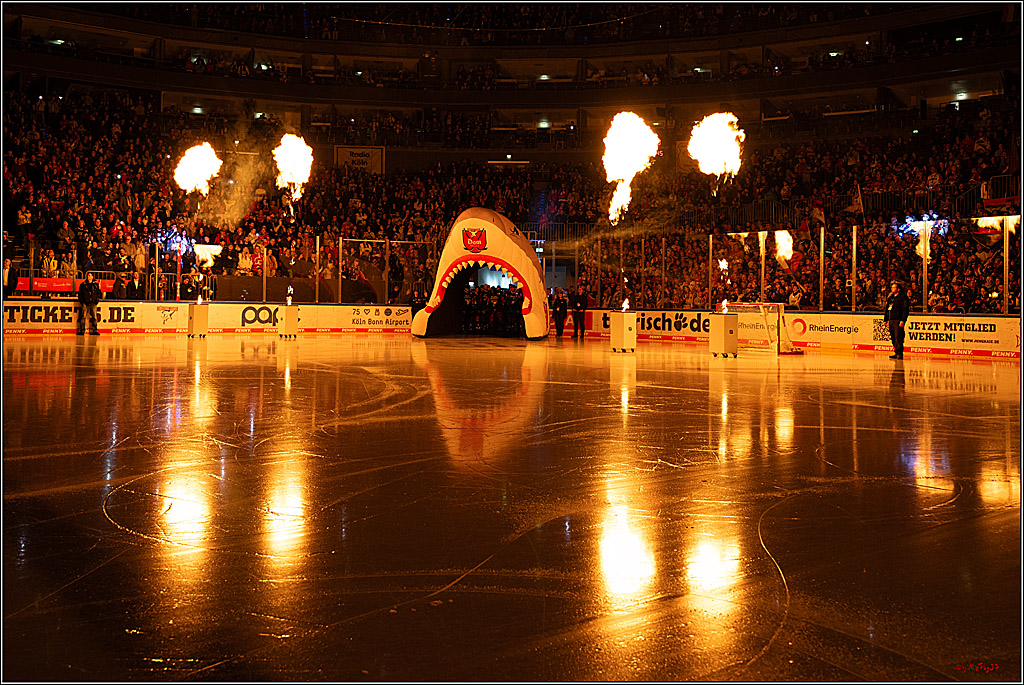 PENNY DEL 1; Kölner Haie - Iserlohn Roosters; Köln, 19.01.2025