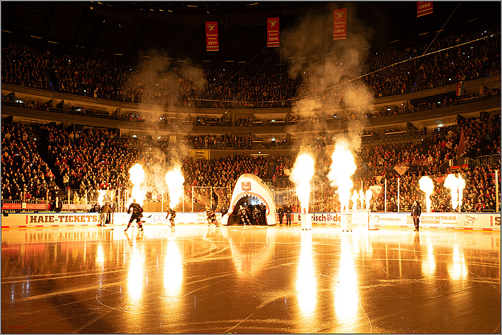 PENNY DEL 1; Kölner Haie - Iserlohn Roosters; Köln, 19.01.2025