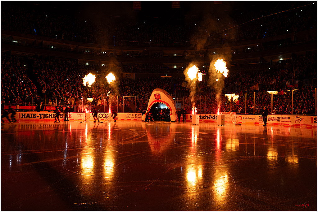 PENNY DEL 1; Kölner Haie - Iserlohn Roosters; Köln, 19.01.2025