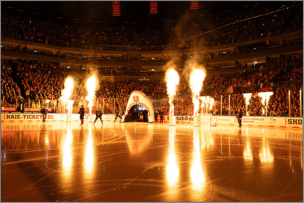 PENNY DEL 1; Kölner Haie - Iserlohn Roosters; Köln, 19.01.2025