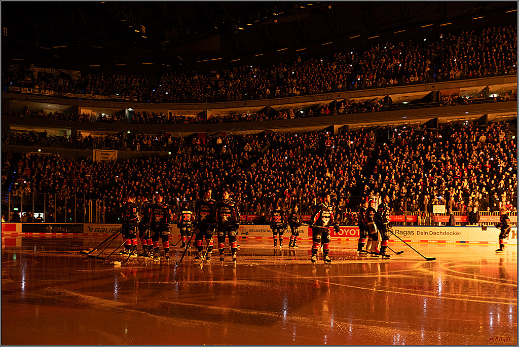 PENNY DEL 1; Kölner Haie - Iserlohn Roosters; Köln, 19.01.2025