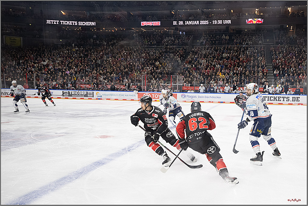 PENNY DEL 1; Kölner Haie - Iserlohn Roosters; Köln, 19.01.2025