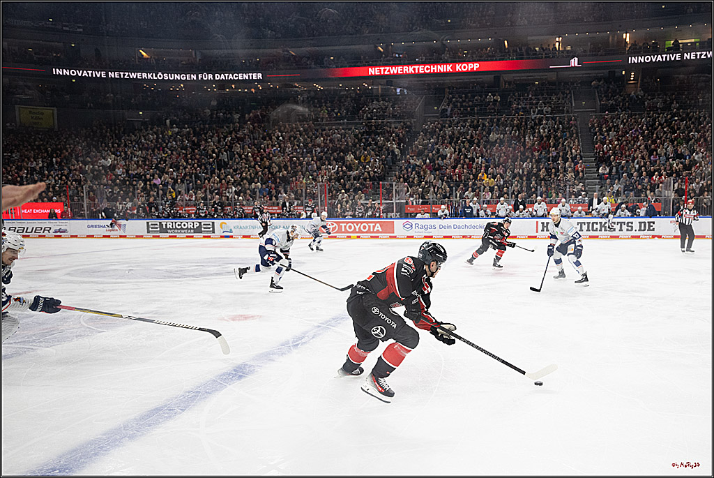 PENNY DEL 1; Kölner Haie - Iserlohn Roosters; Köln, 19.01.2025