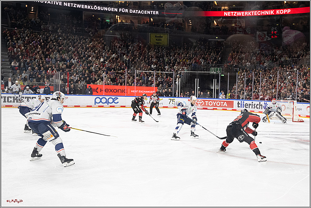 PENNY DEL 1; Kölner Haie - Iserlohn Roosters; Köln, 19.01.2025