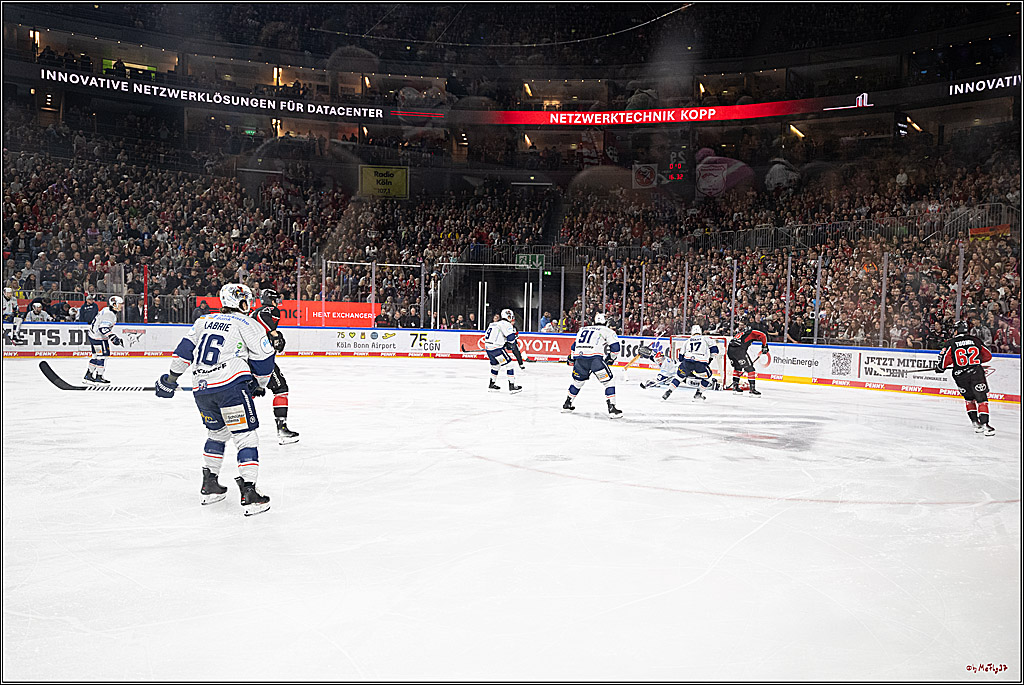 PENNY DEL 1; Kölner Haie - Iserlohn Roosters; Köln, 19.01.2025