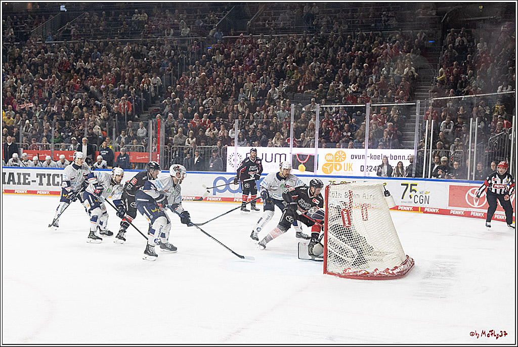 PENNY DEL 1; Kölner Haie - Iserlohn Roosters; Köln, 19.01.2025