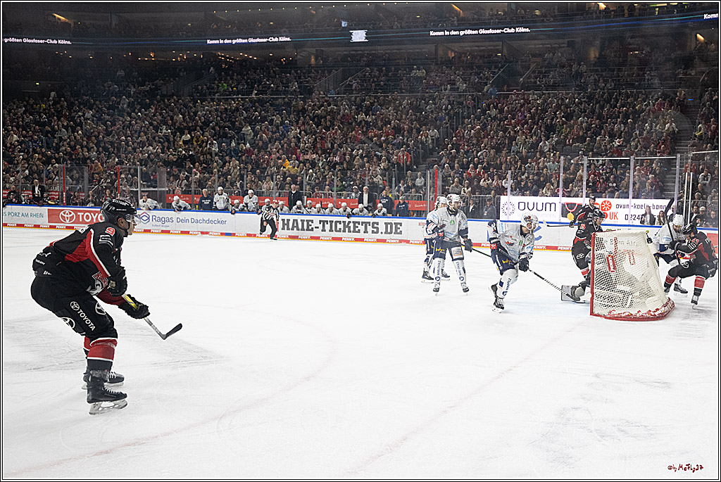 PENNY DEL 1; Kölner Haie - Iserlohn Roosters; Köln, 19.01.2025