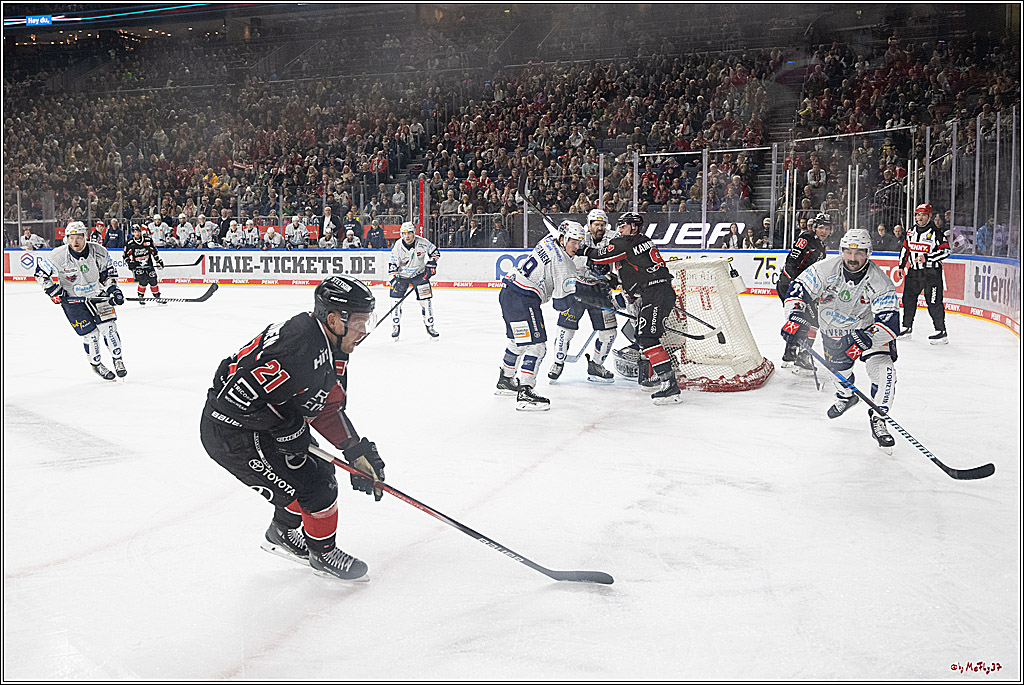 PENNY DEL 1; Kölner Haie - Iserlohn Roosters; Köln, 19.01.2025