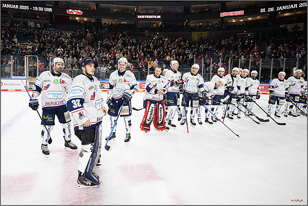 PENNY DEL 1; Kölner Haie - Iserlohn Roosters; Köln, 19.01.2025