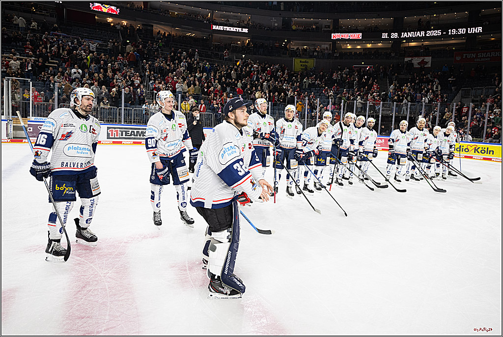 PENNY DEL 1; Kölner Haie - Iserlohn Roosters; Köln, 19.01.2025