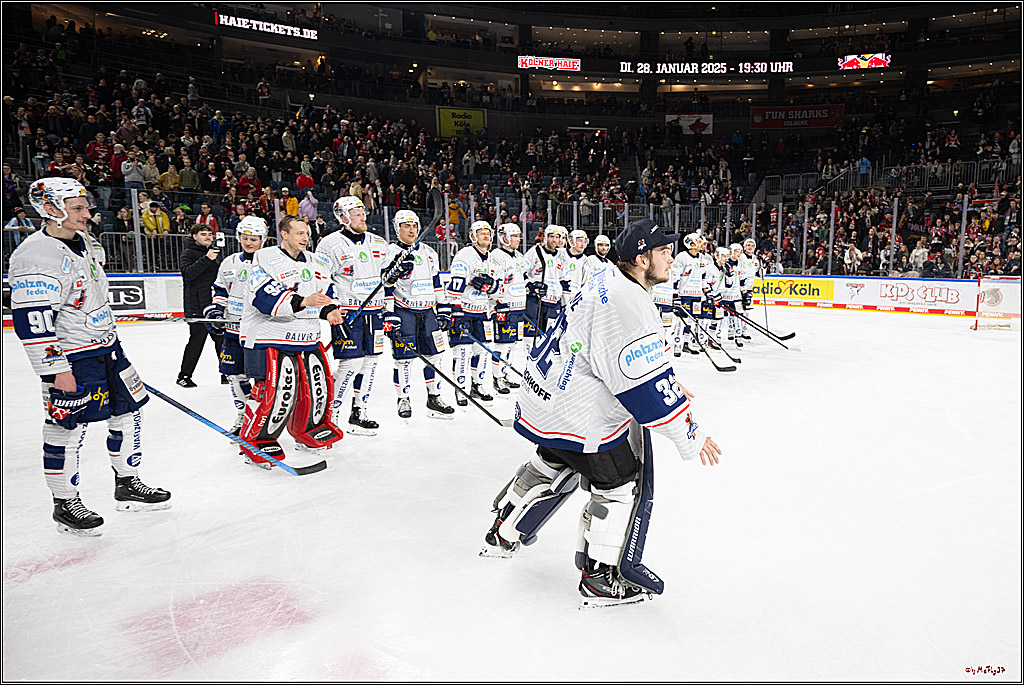 PENNY DEL 1; Kölner Haie - Iserlohn Roosters; Köln, 19.01.2025