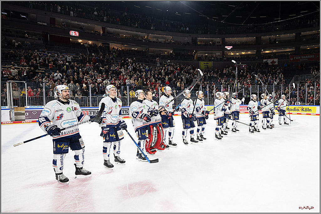 PENNY DEL 1; Kölner Haie - Iserlohn Roosters; Köln, 19.01.2025