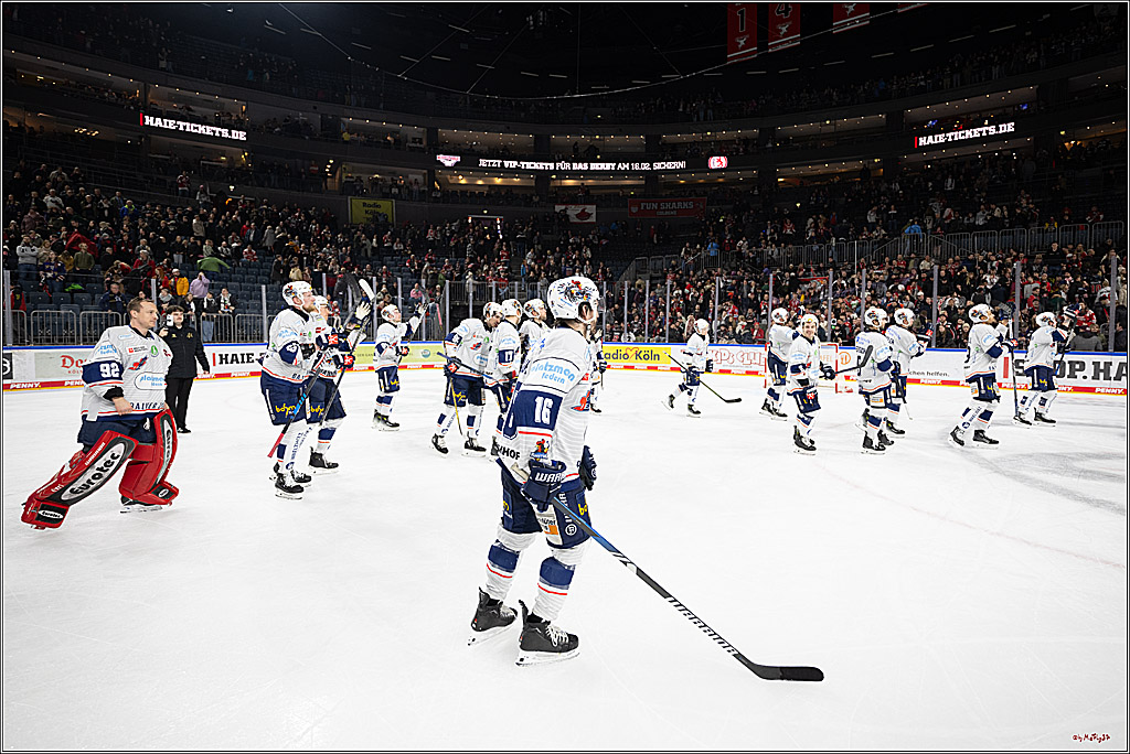 PENNY DEL 1; Kölner Haie - Iserlohn Roosters; Köln, 19.01.2025