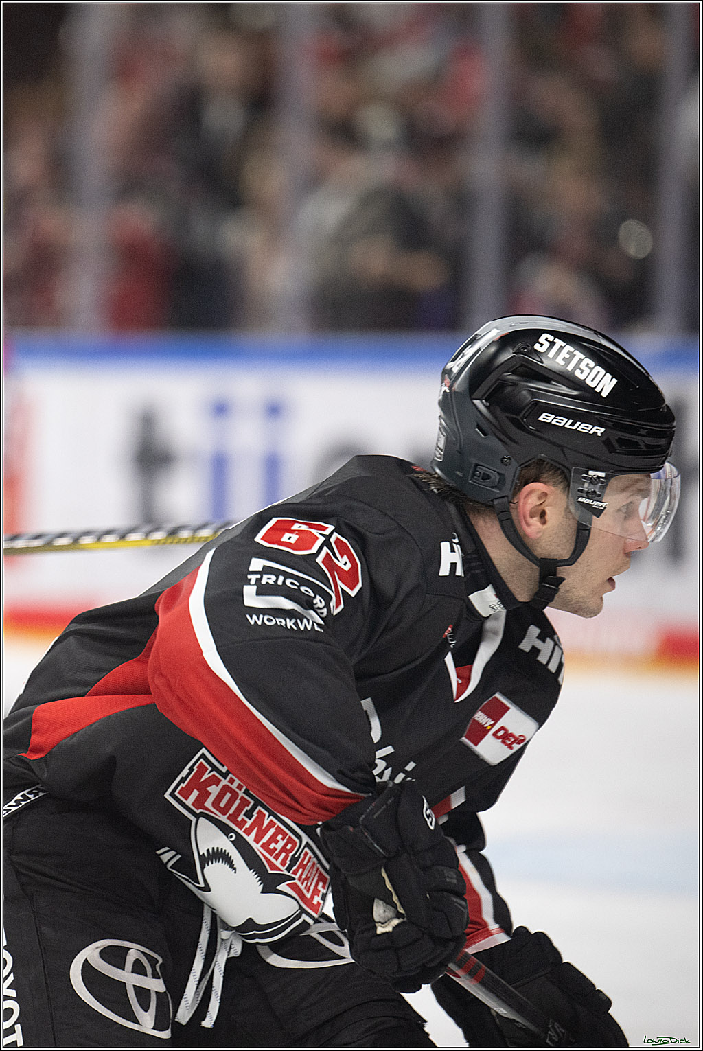 PENNY DEL; Koelner Haie- Iserlohn Roosters; Koeln, 19.01.2025