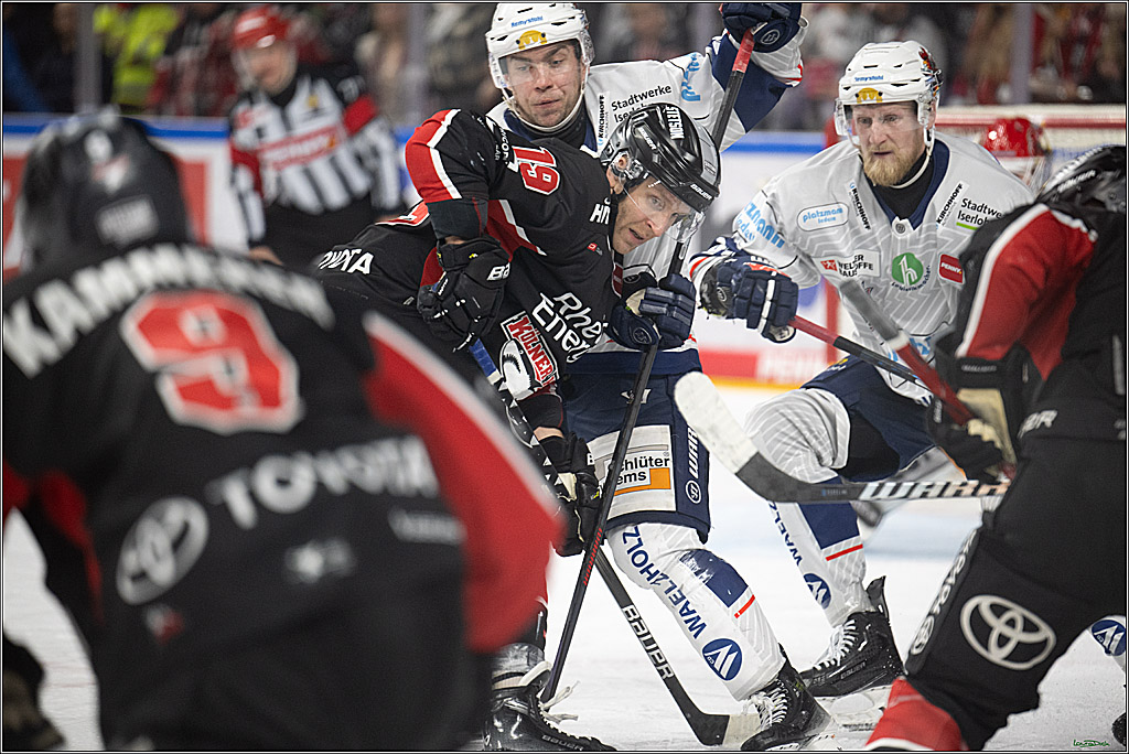 PENNY DEL; Koelner Haie- Iserlohn Roosters; Koeln, 19.01.2025
