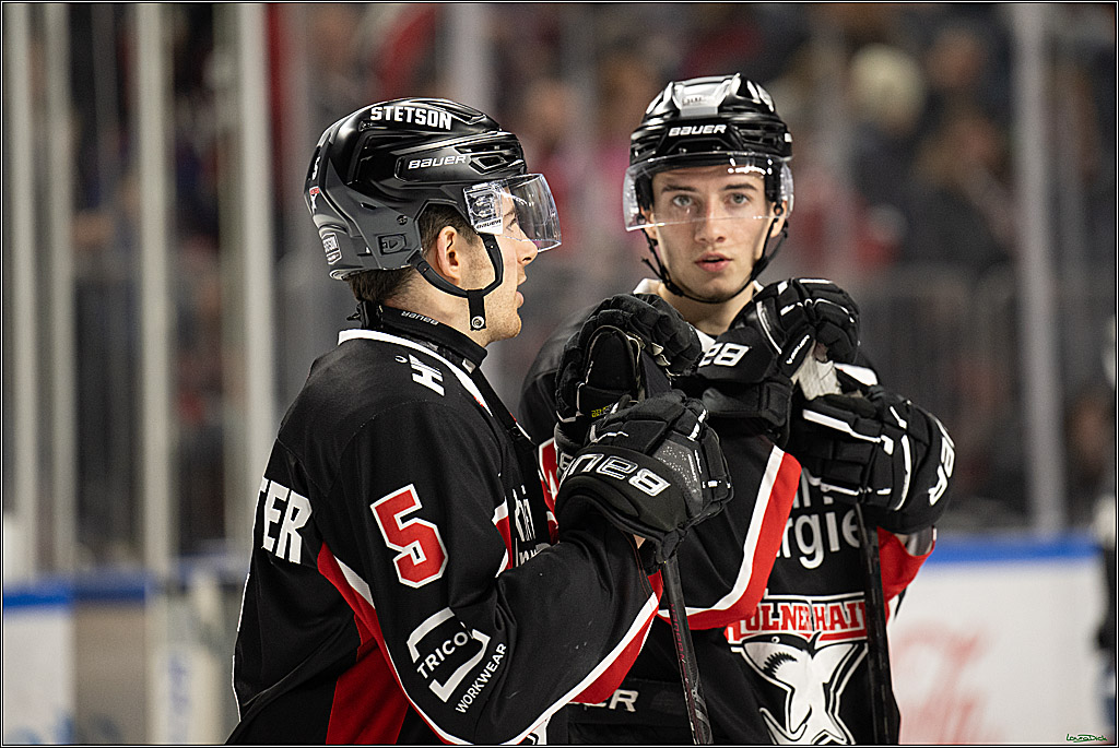 PENNY DEL; Koelner Haie- Iserlohn Roosters; Koeln, 19.01.2025