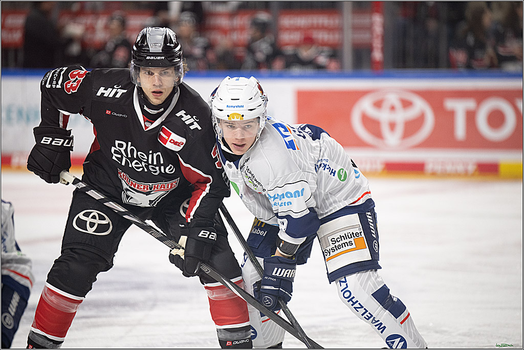 PENNY DEL; Koelner Haie- Iserlohn Roosters; Koeln, 19.01.2025