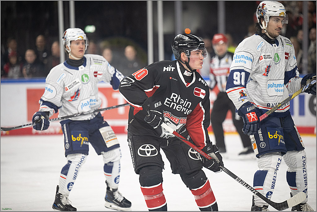 PENNY DEL; Koelner Haie- Iserlohn Roosters; Koeln, 19.01.2025