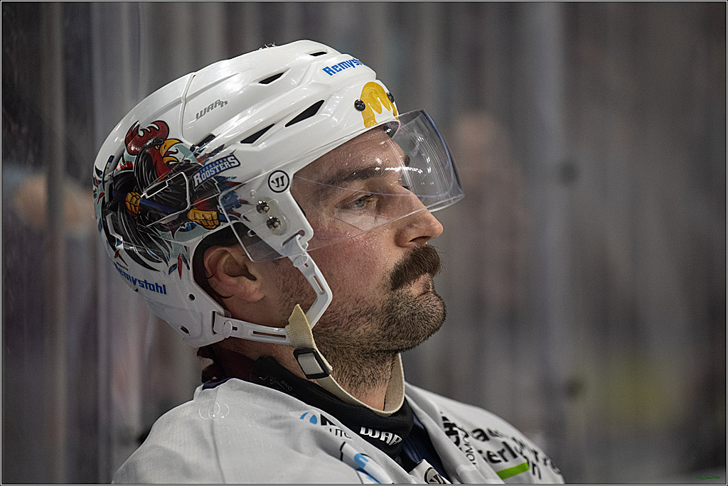 PENNY DEL; Koelner Haie- Iserlohn Roosters; Koeln, 19.01.2025