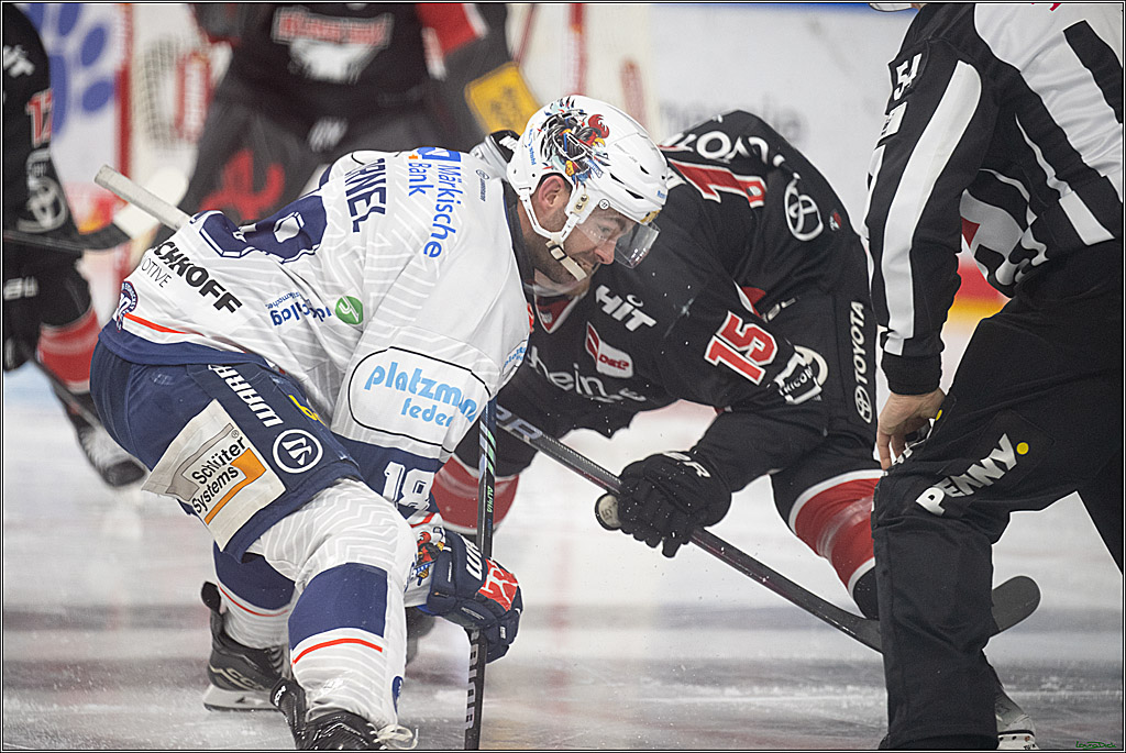 PENNY DEL; Koelner Haie- Iserlohn Roosters; Koeln, 19.01.2025