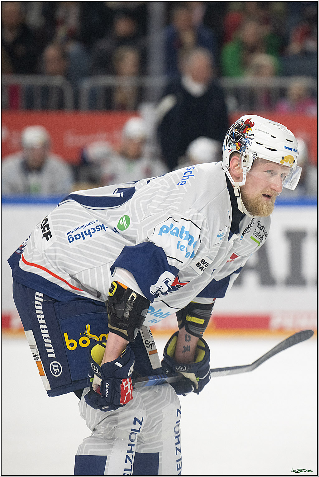 PENNY DEL; Koelner Haie- Iserlohn Roosters; Koeln, 19.01.2025
