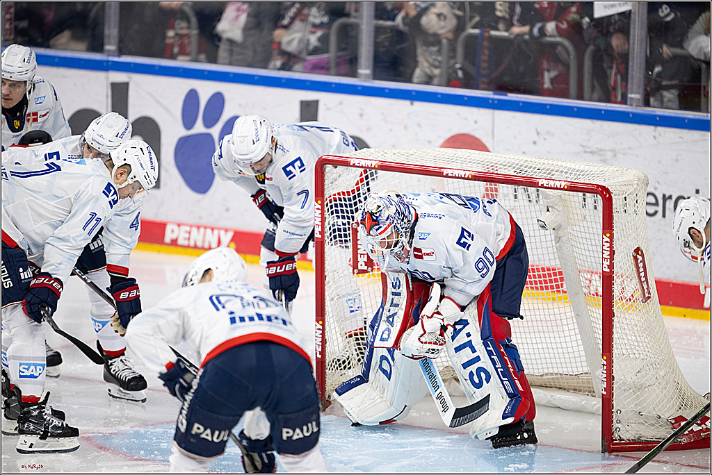 PENNY DEL 1; Kölner Haie - Adler Mannheim; Köln, 02.02.2025