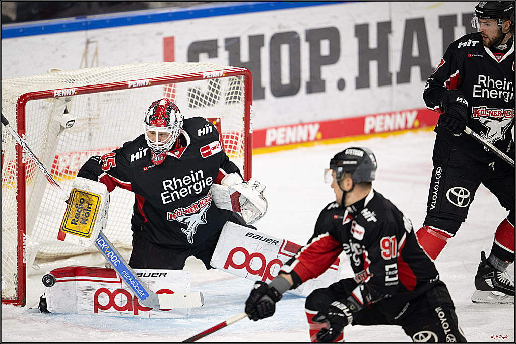 PENNY DEL 1; Kölner Haie - Adler Mannheim; Köln, 02.02.2025