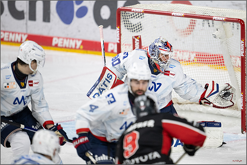 PENNY DEL 1; Kölner Haie - Adler Mannheim; Köln, 02.02.2025