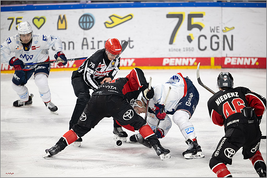 PENNY DEL 1; Kölner Haie - Adler Mannheim; Köln, 02.02.2025
