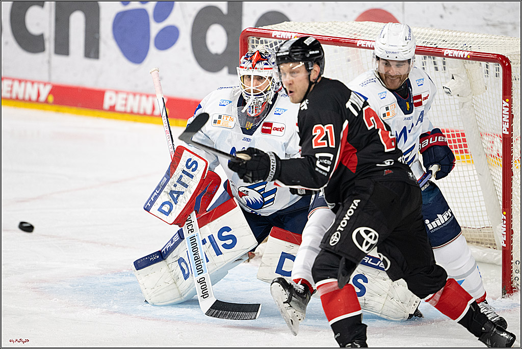 PENNY DEL 1; Kölner Haie - Adler Mannheim; Köln, 02.02.2025