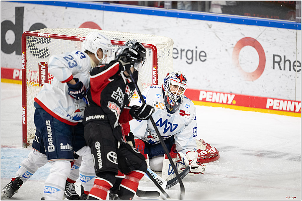 PENNY DEL 1; Kölner Haie - Adler Mannheim; Köln, 02.02.2025