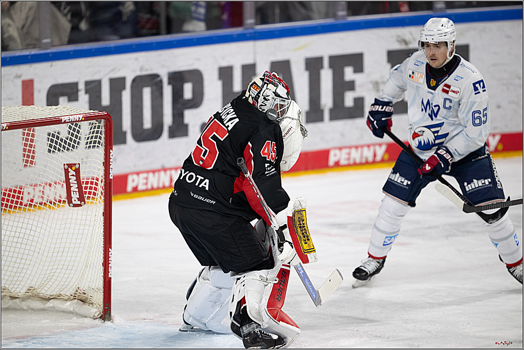 PENNY DEL 1; Kölner Haie - Adler Mannheim; Köln, 02.02.2025