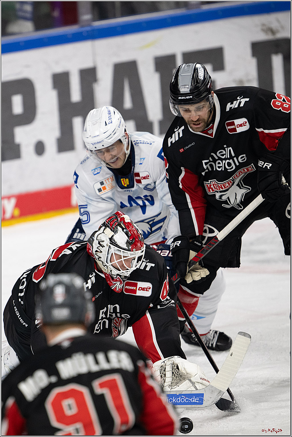 PENNY DEL 1; Kölner Haie - Adler Mannheim; Köln, 02.02.2025