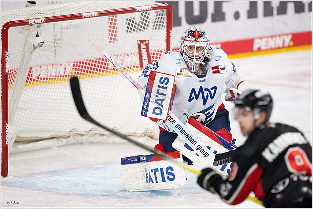 PENNY DEL 1; Kölner Haie - Adler Mannheim; Köln, 02.02.2025