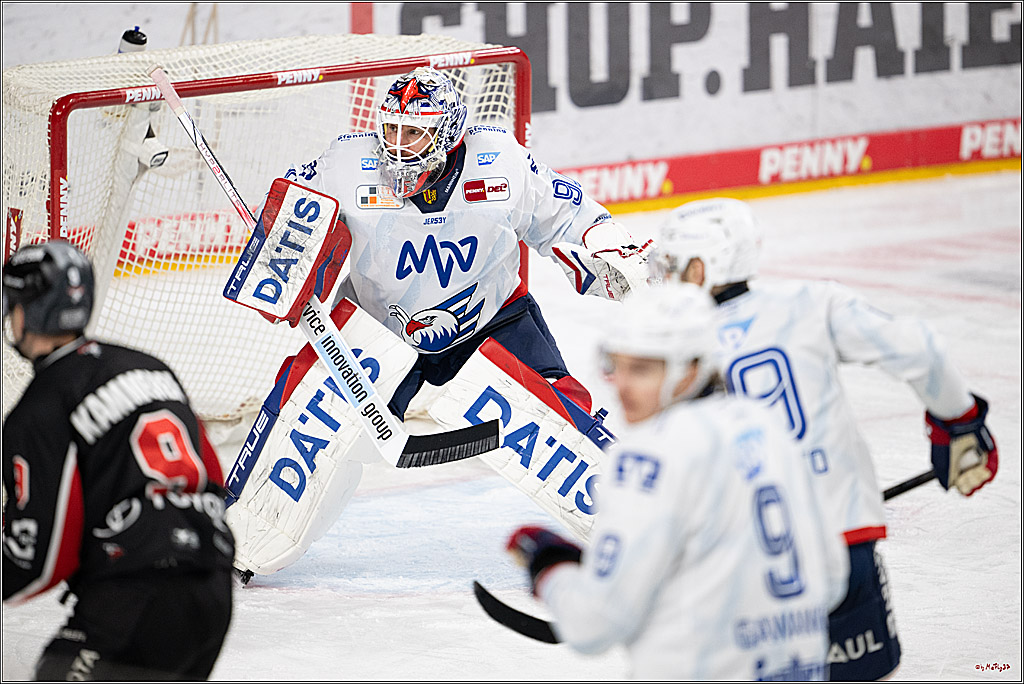 PENNY DEL 1; Kölner Haie - Adler Mannheim; Köln, 02.02.2025