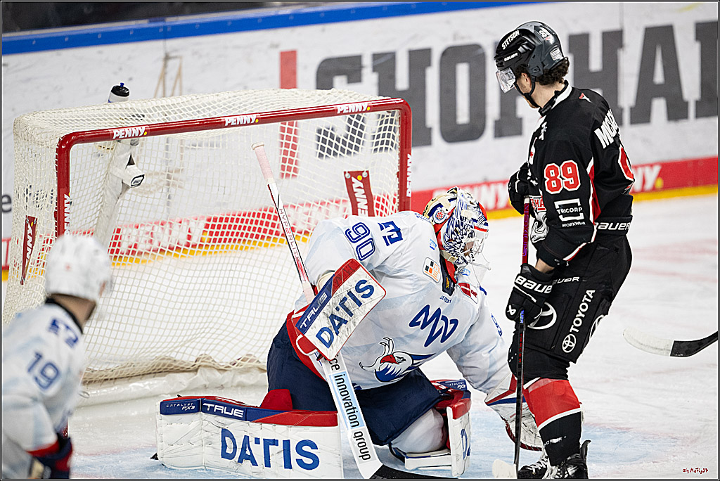 PENNY DEL 1; Kölner Haie - Adler Mannheim; Köln, 02.02.2025