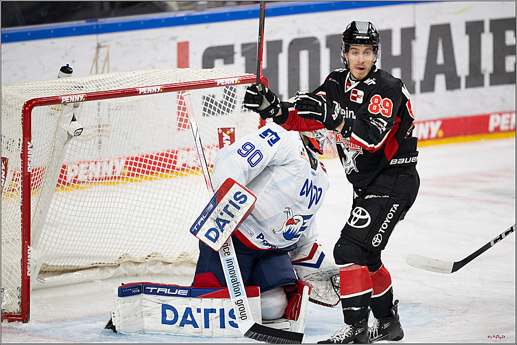 PENNY DEL 1; Kölner Haie - Adler Mannheim; Köln, 02.02.2025