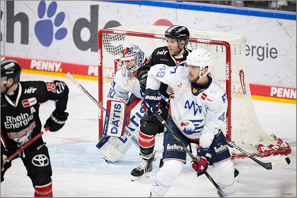 PENNY DEL 1; Kölner Haie - Adler Mannheim; Köln, 02.02.2025