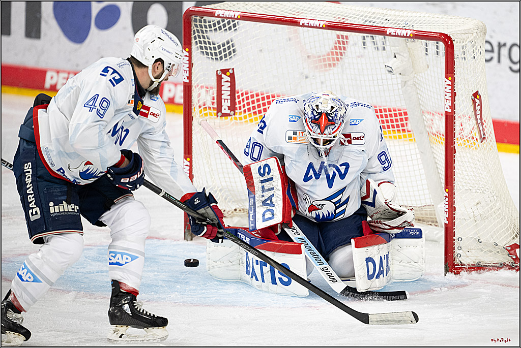 PENNY DEL 1; Kölner Haie - Adler Mannheim; Köln, 02.02.2025