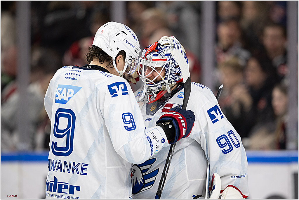 PENNY DEL 1; Kölner Haie - Adler Mannheim; Köln, 02.02.2025