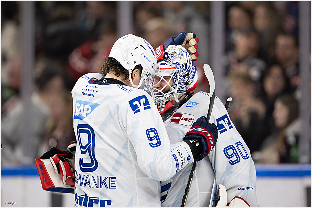 PENNY DEL 1; Kölner Haie - Adler Mannheim; Köln, 02.02.2025