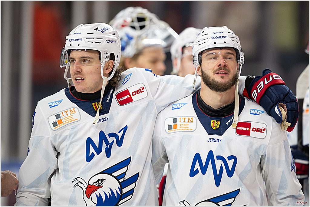 PENNY DEL 1; Kölner Haie - Adler Mannheim; Köln, 02.02.2025