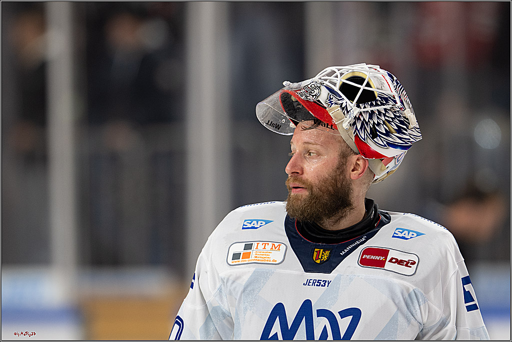 PENNY DEL 1; Kölner Haie - Adler Mannheim; Köln, 02.02.2025