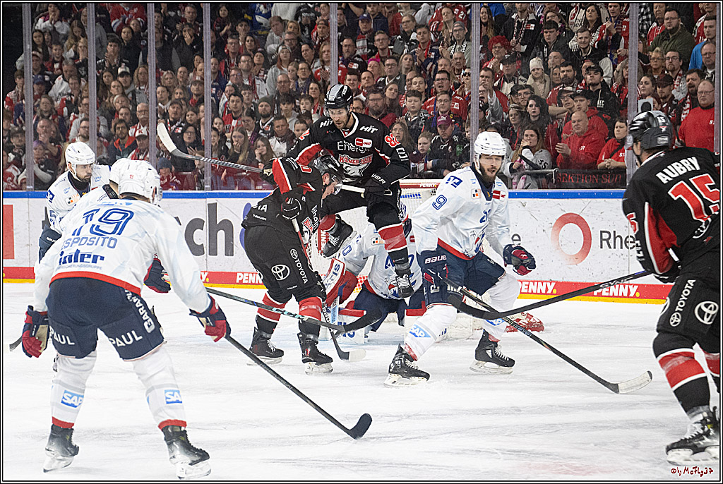 PENNY DEL 1; Kölner Haie - Adler Mannheim; Köln, 02.02.2025
