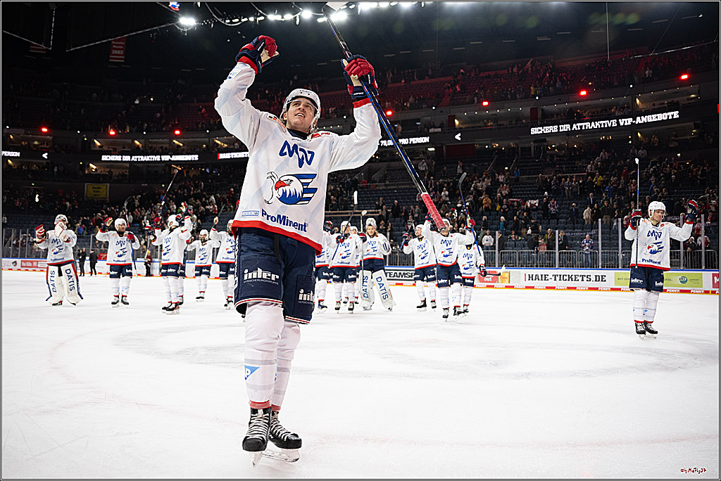 PENNY DEL 1; Kölner Haie - Adler Mannheim; Köln, 02.02.2025