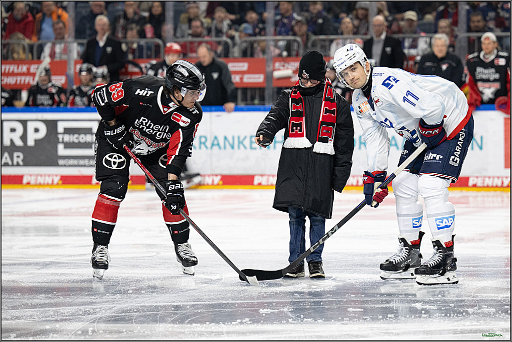 PENNY DEL; Koelner Haie-Adler Mannheim; Koeln, 02.02.2025